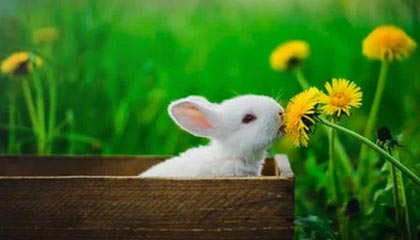 爱游戏APP_东亚足球锦标赛——中国勇往直前，展现实力