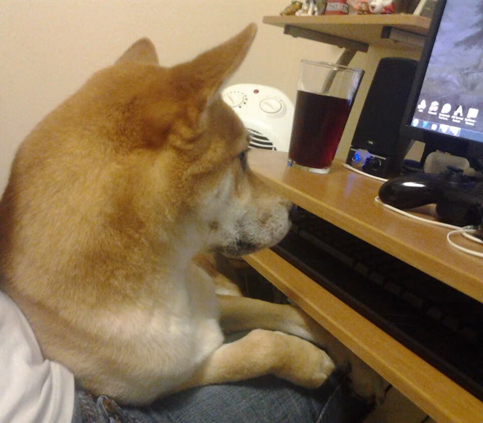 【球队战术调整】大都会逆袭背后的策略玄机，大都会联赛攻略