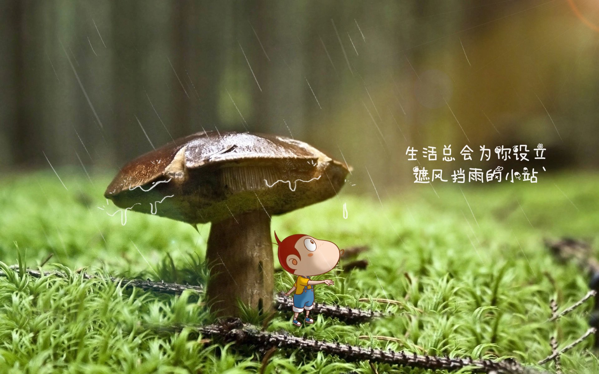 篮球裁判视频回放技术助力判罚精准，篮球裁判集锦