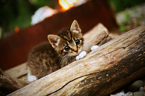 广州队逆转成功，豪取赛季重要胜利，广州队宣布