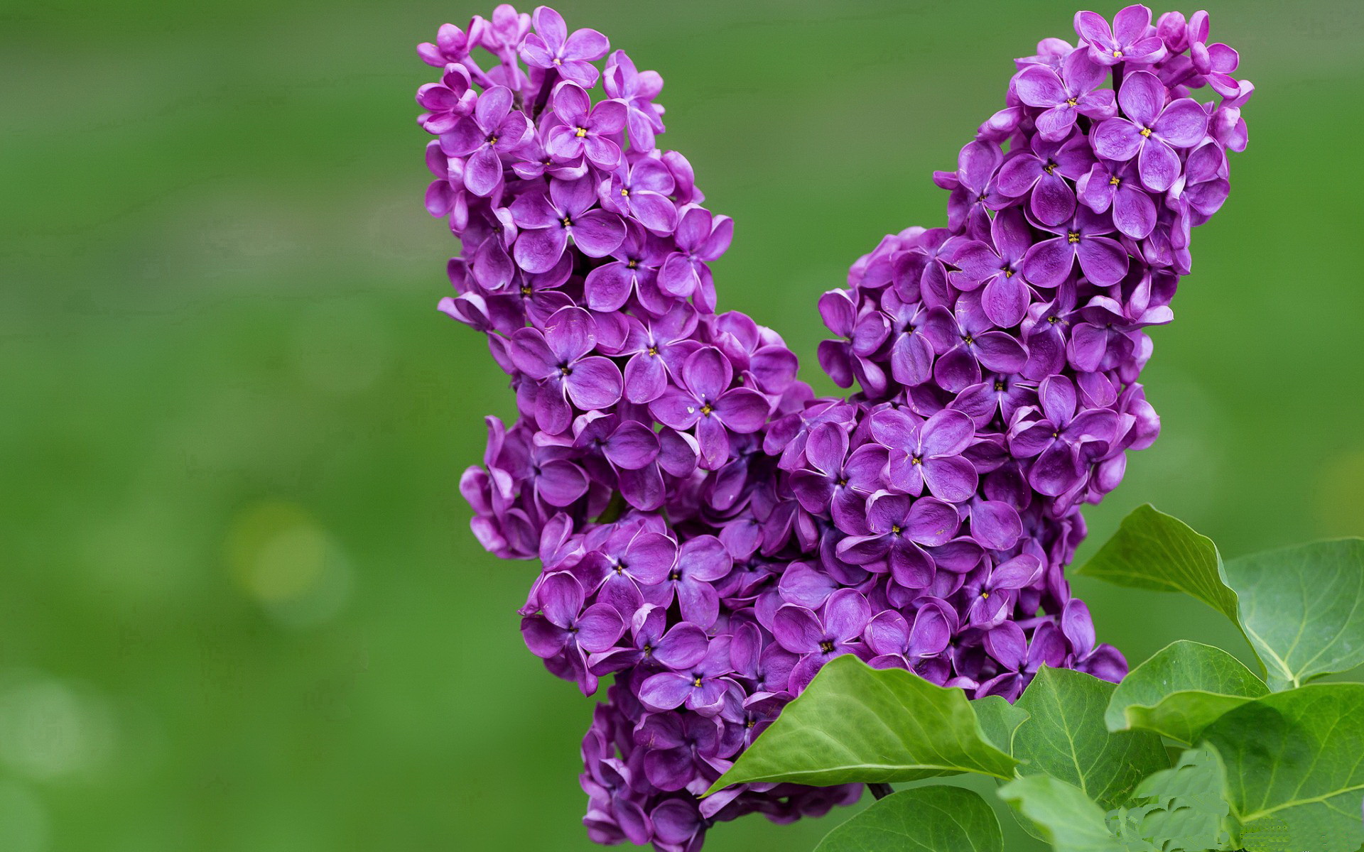 欧洲足坛的精彩对决，谁能笑到最后？，欧洲足球比赛视频