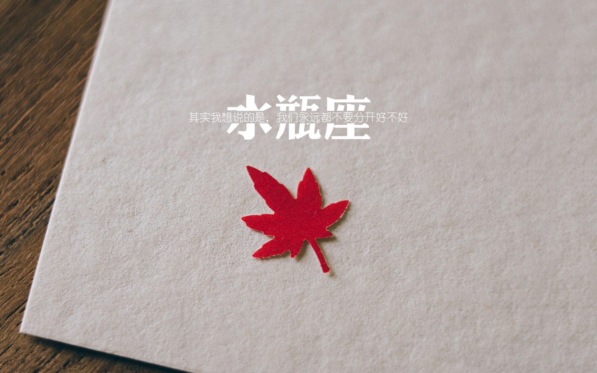 费基尔加盟皇家贝蒂斯，菲尔基贝尔