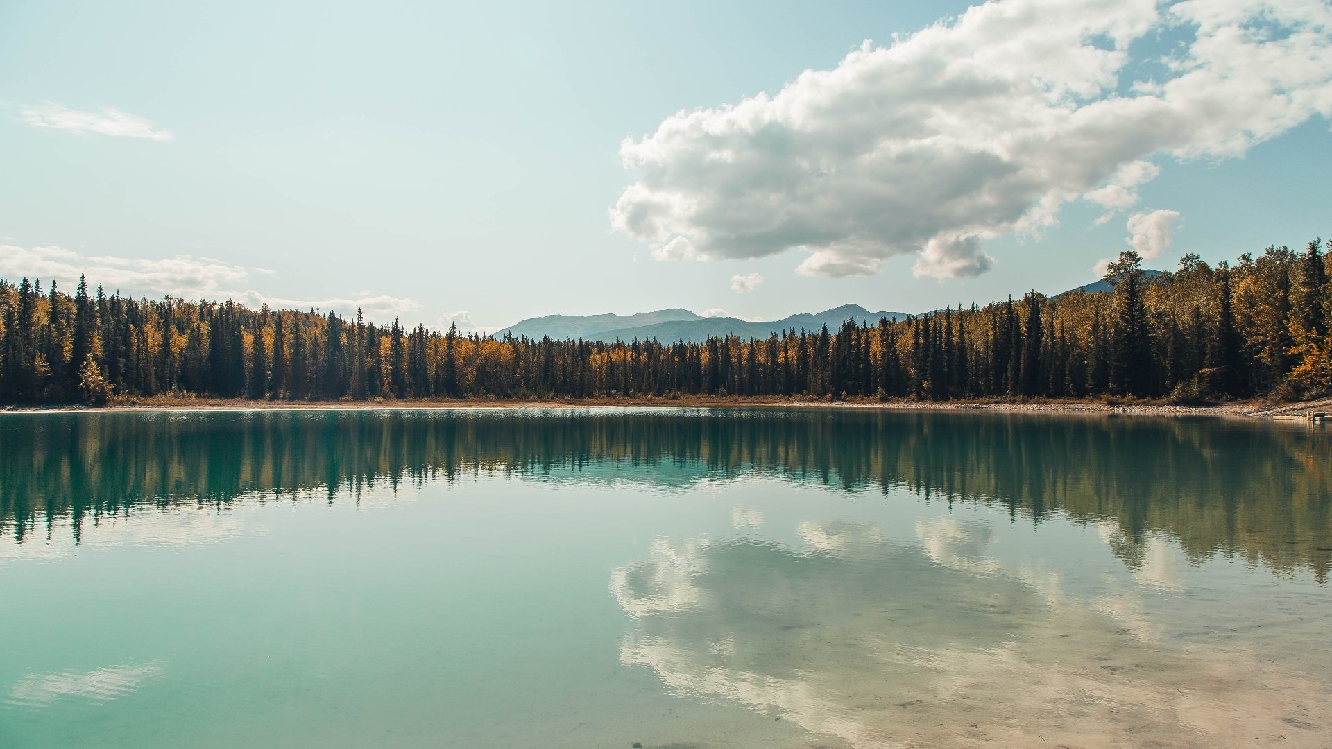 NBA联盟赛事直播互动体验提升策略，nba直播系统