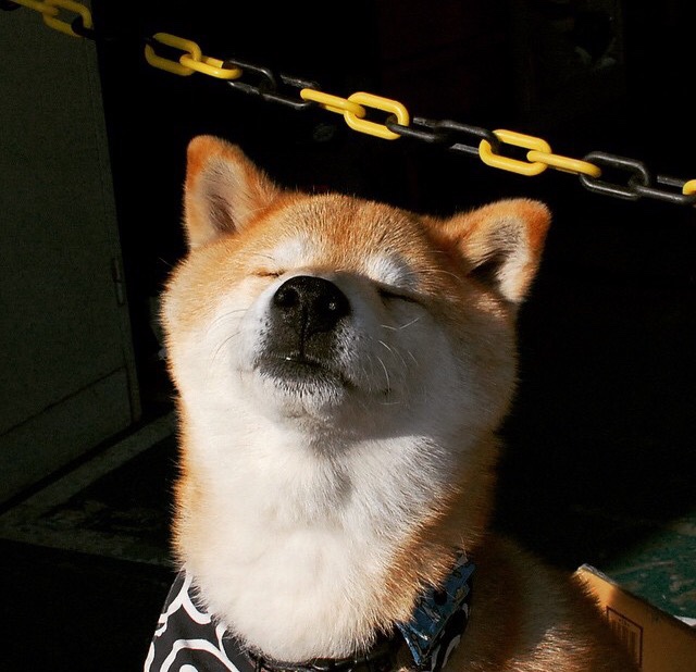 Chinese Taipei挑战极限，2024年混合团体世界杯成果回顾，世界杯团体赛