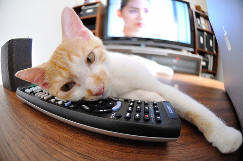 俱乐部青训激励机制尚未建立，怎么算本俱乐部青训