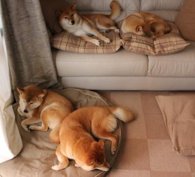 博卡门将神勇扑救，虽败犹荣，博卡俱乐部著名球星