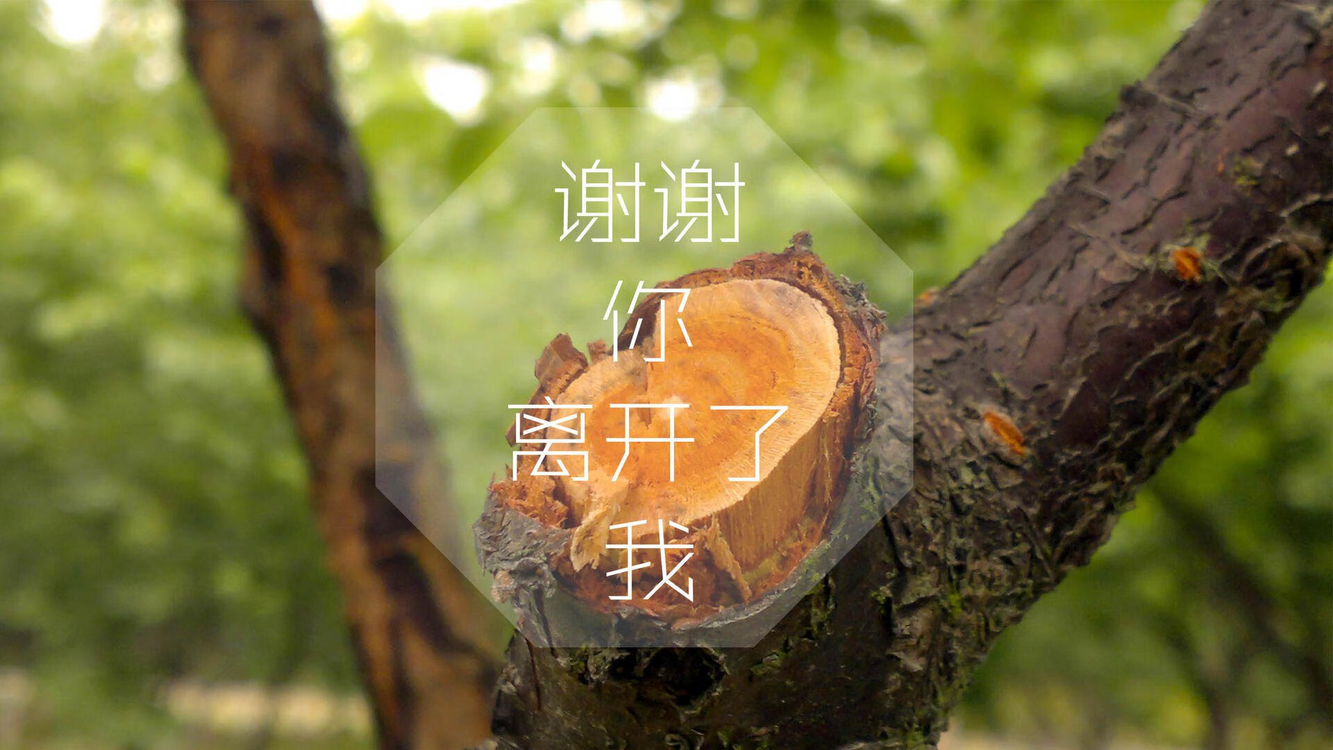 控球与推进平衡是否是防止丢球的最优解，控球动作