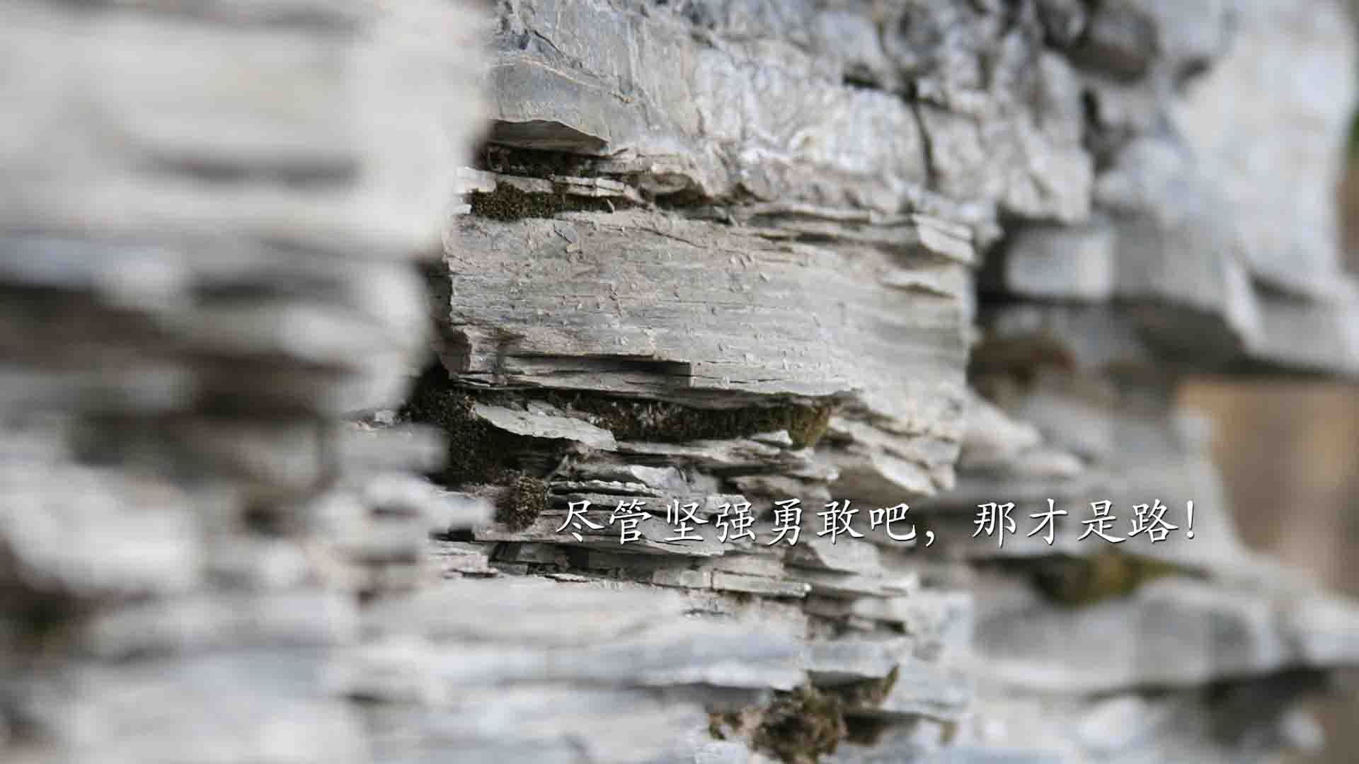 热火球员晒健身照展现极致体型管理，热火球员照片