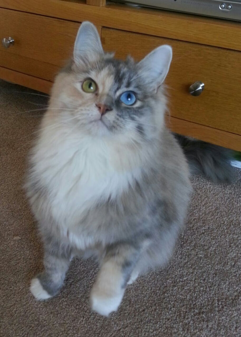 热火老将亲自担任投篮教练提升后卫稳定性，nba热火教练