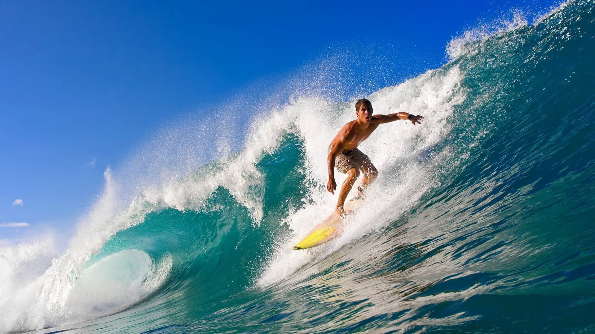 荷兰女队蝶泳速度惊艳全场，荷兰女游泳运动员